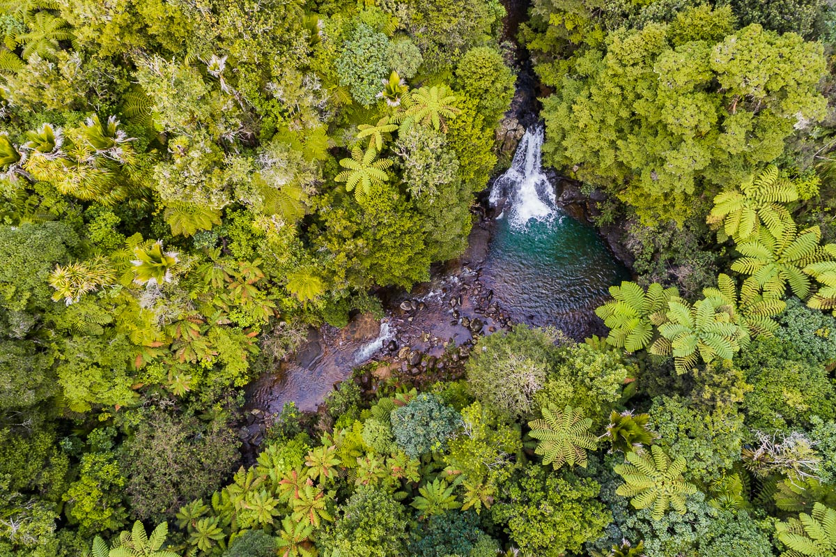 waiau-falls-waterfall-drone-aerial-photography-photographer-new-zealand-north-island-coromandel-roadtrip.jpg