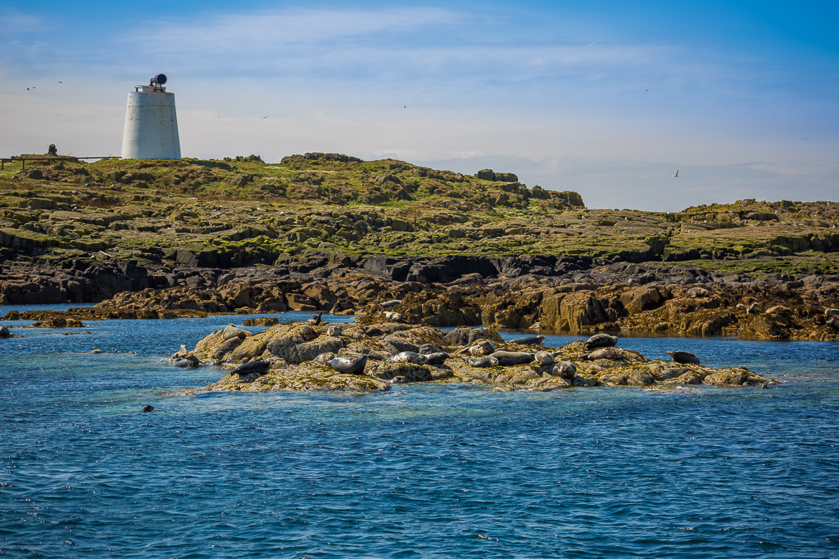 isle-of-may-scotland-st-andrews-travel-cruise-seals-island-lighthouse.jpg