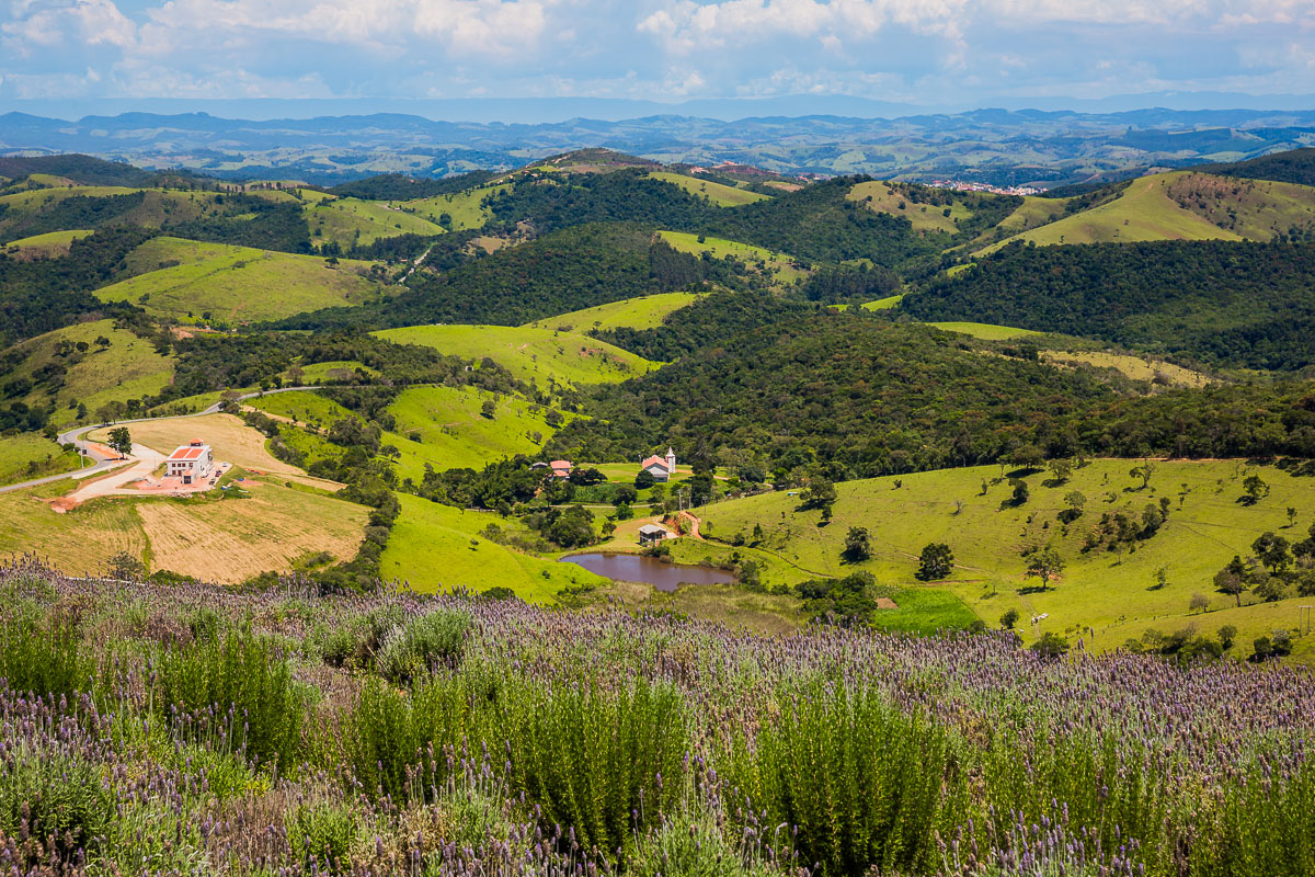 lavandario-paraty-sao-paulo-lavender-garden-gardens-farm-brasil-brazil-landscape-rural.jpg