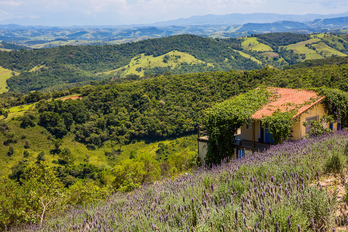 countryside-brazil-sao-paulo-rio-de-janeiro-lavandario-lavender-farm-rural.jpg