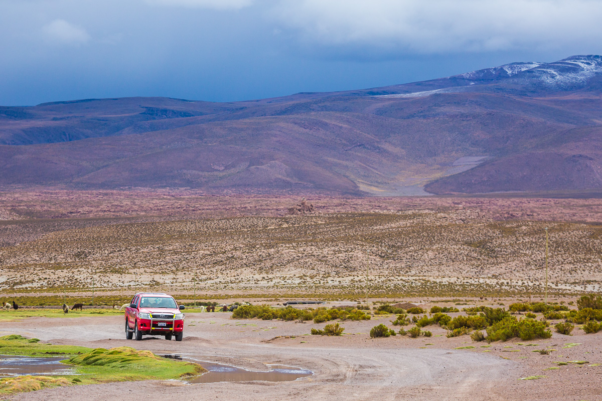 jeep-4x4-roadtrip-bolivia-road-landscapes-photography-photographer-llama-valley.jpg