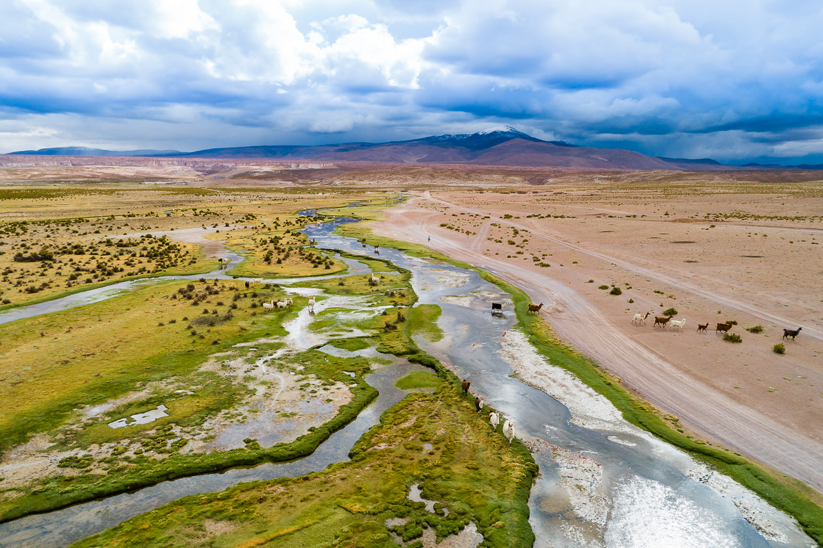 llama-valley-drone-aerial-photography-llamas-herd-river-uyuni-bolivia-bolivian-south-america-dji.jpg