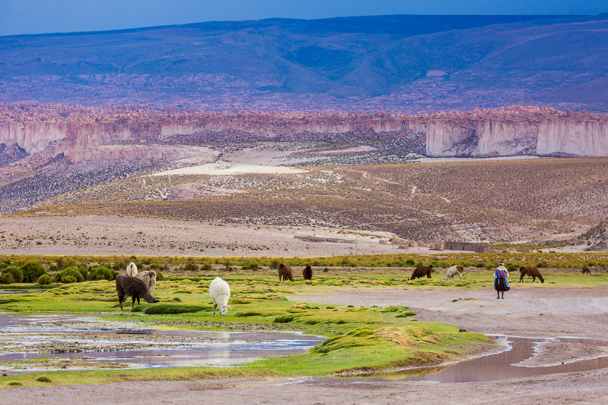 llama-valley-bolivia-travel-traditional-farmland-rural-herding-subsistence-farming-countryside-travel.jpg