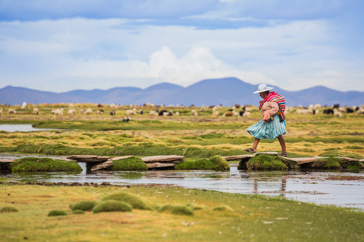 traditional-bolivia-shepherd-woman-lady-walking-bridge-llama-pasture-llamas-herd-farming-country-rural-travel-workshop.jpg