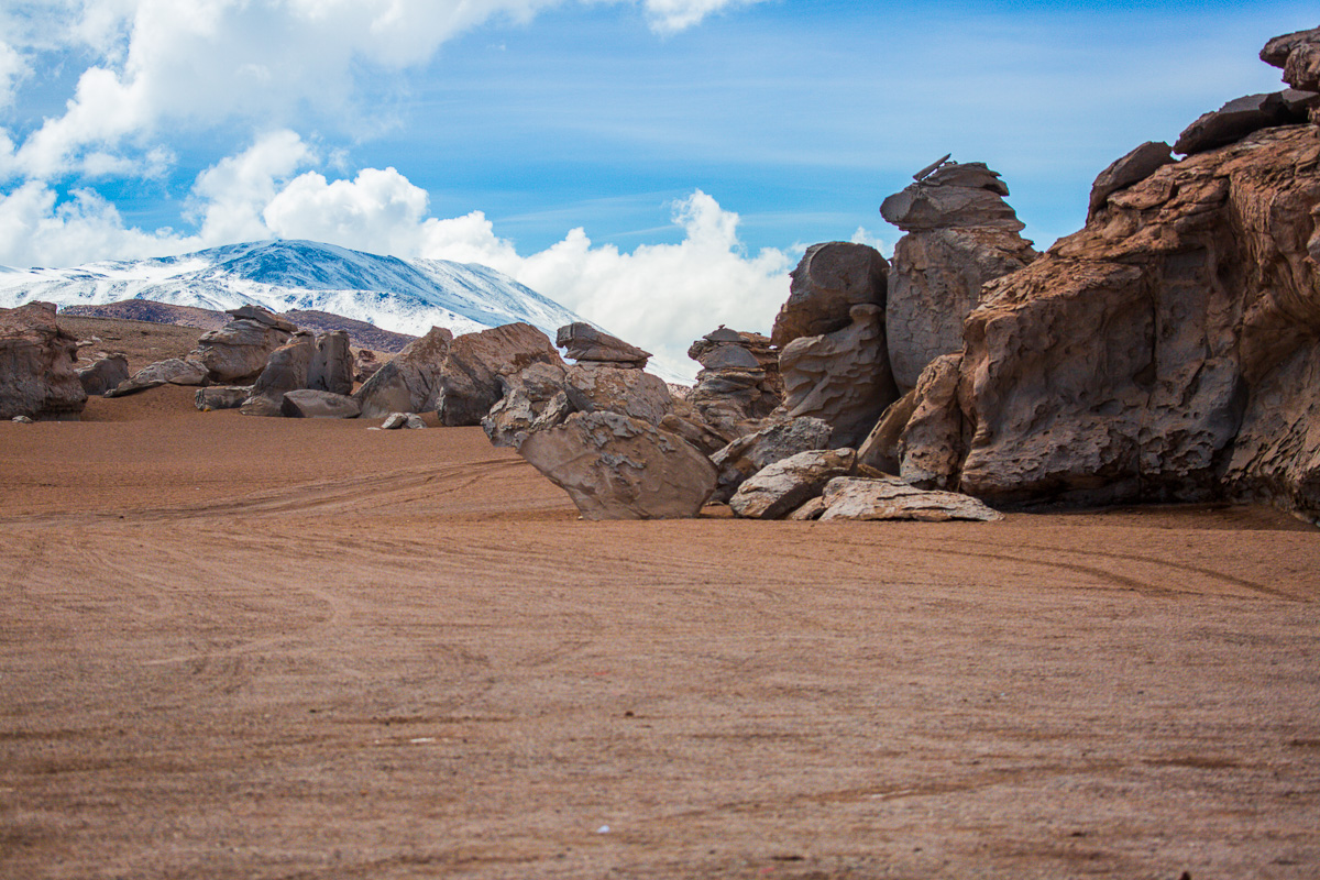 bolivian-landscape-siloli-desert-eduardo-avaroa-national-park-snow-mountain-rock-arbol-tree-stone.jpg