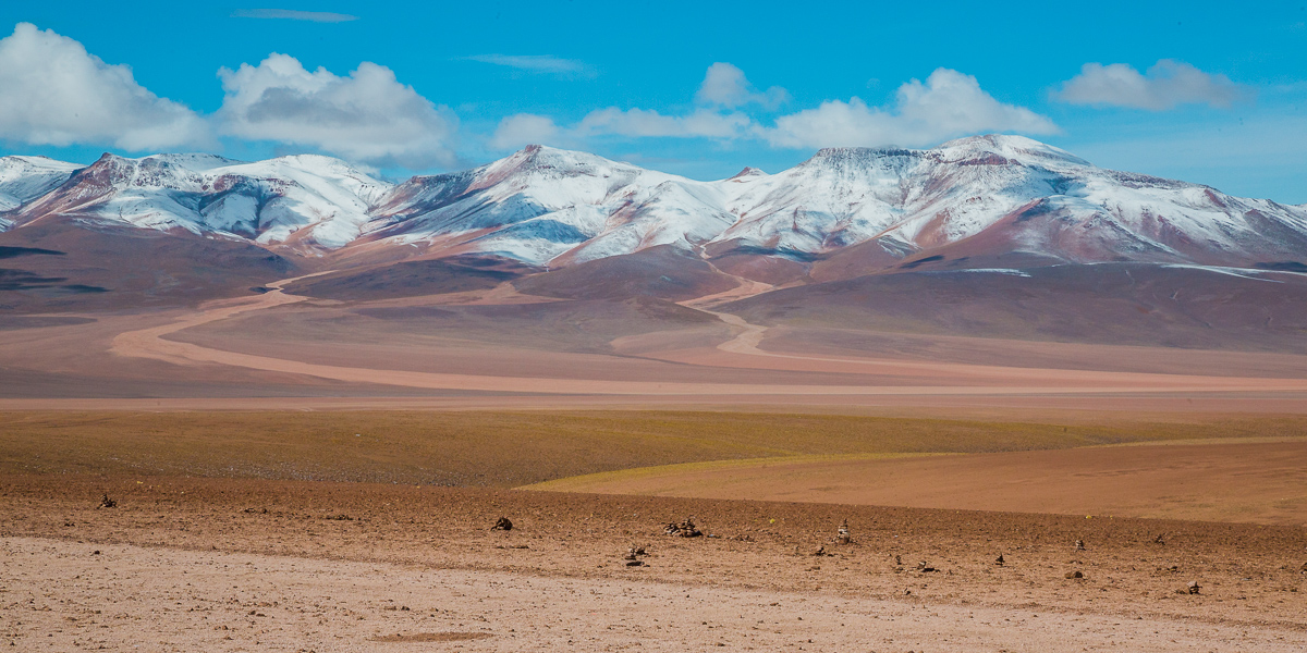 coloured-mountain-montana-colorada-bolivia-siloli-desert-eduardo-abaroa-national-reserve-andean-fauna.jpg