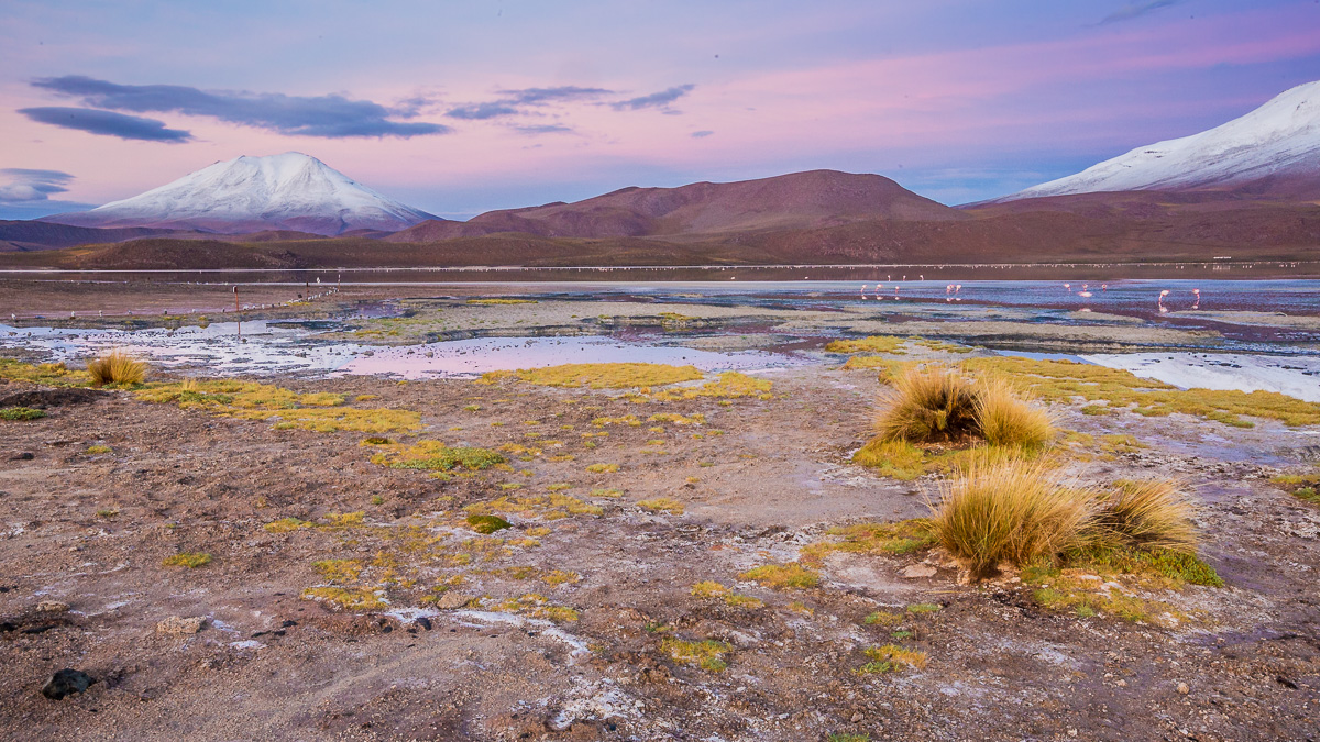 ecolodge-travel-photographer-bolivia-south-america-sunrise-los-flamencos-laguna-hedionda-landscape-photography.jpg
