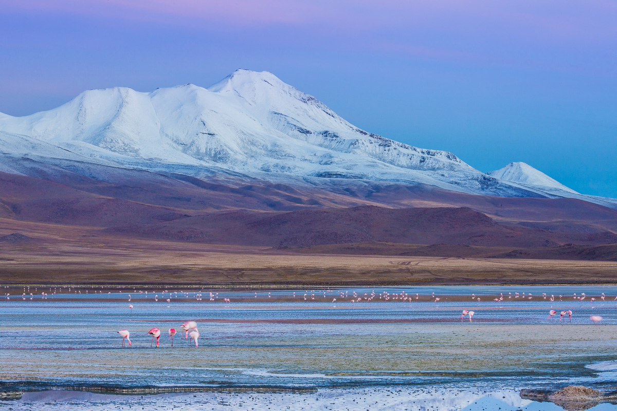 national-reserve-eduardo-avaroa-park-los-flamencos-ecolodge-hotel-sunrise-laguna-hedionda-january-bolivia.jpg