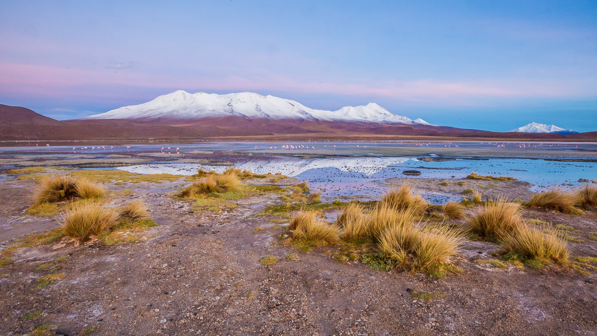 sunrise-flamingoes-hotel-ecolodge-los-flamencos-bolivia-south-america-flamingos-wild-wildlife-photography.jpg