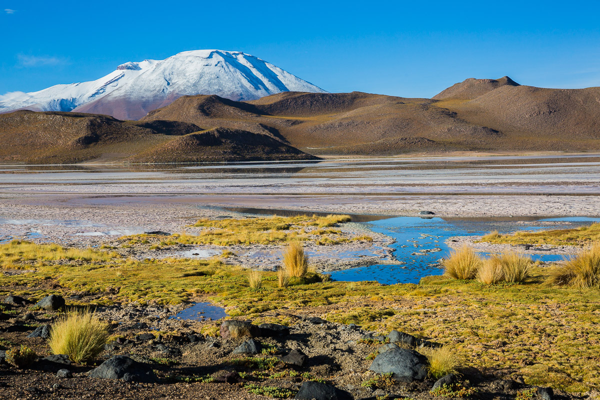 laguna-charcota-photography-eduardo-avaroa-national-park-lagoons-lakes-view-photography-pictures-bolivia-bolivian.jpg