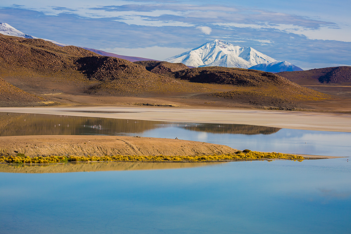 laguna-honda-bolivia-eduardo-avaroa-national-park-lagoons-photography-flamingo-location-wildlife-fauna-andean-trip.jpg