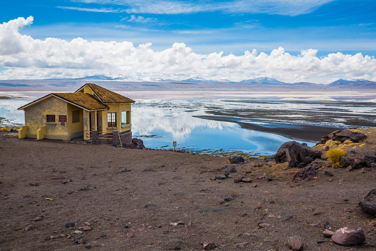 bolivia-destination-lagoon-laguna-colorada-eduardo-avaroa-abaroa-national-reserve-andean-fauna-lagoon-color-colour.jpg