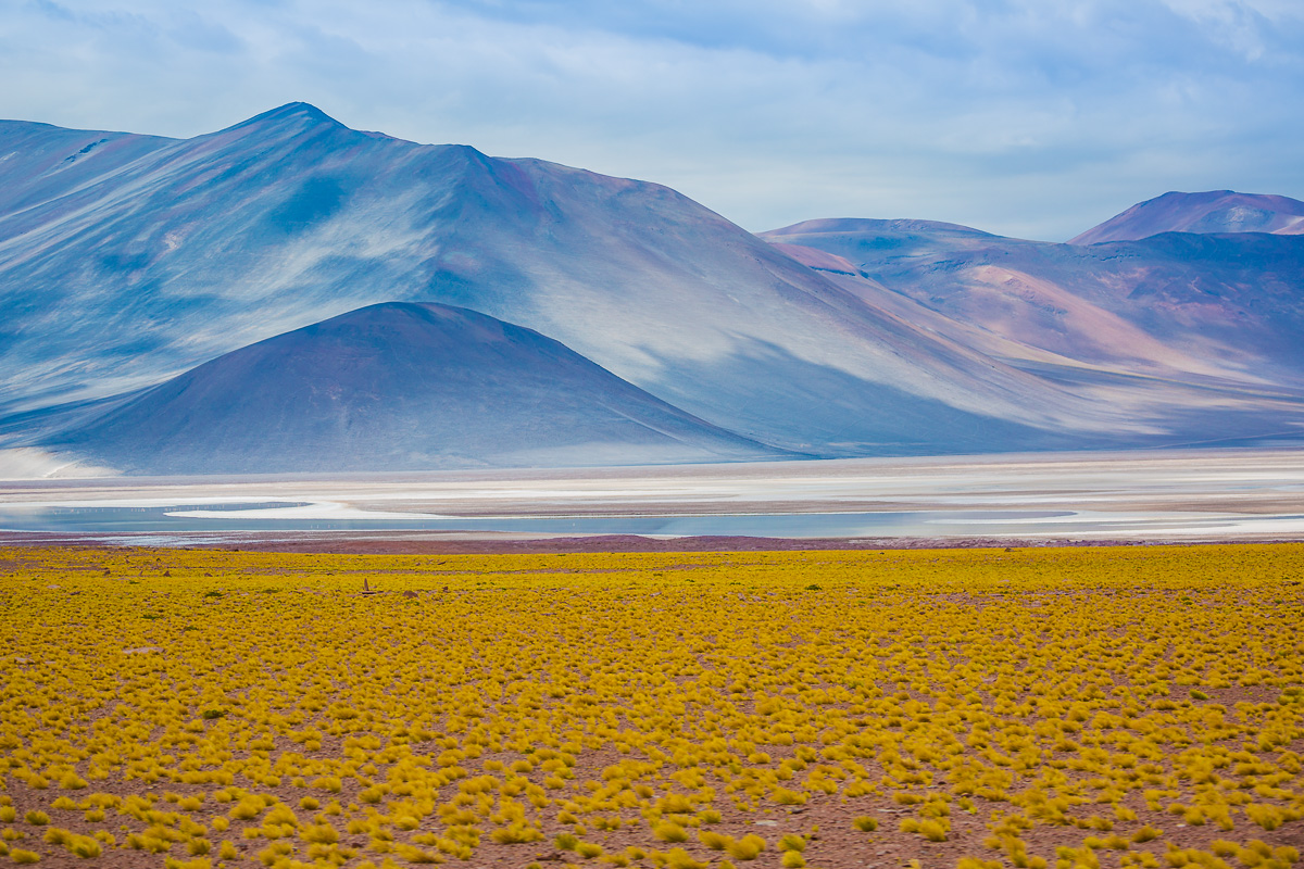 amalia-bastos-photography-light-south-america-chile-photography-lagunas-altiplanicas-lagoon-atacama.jpg