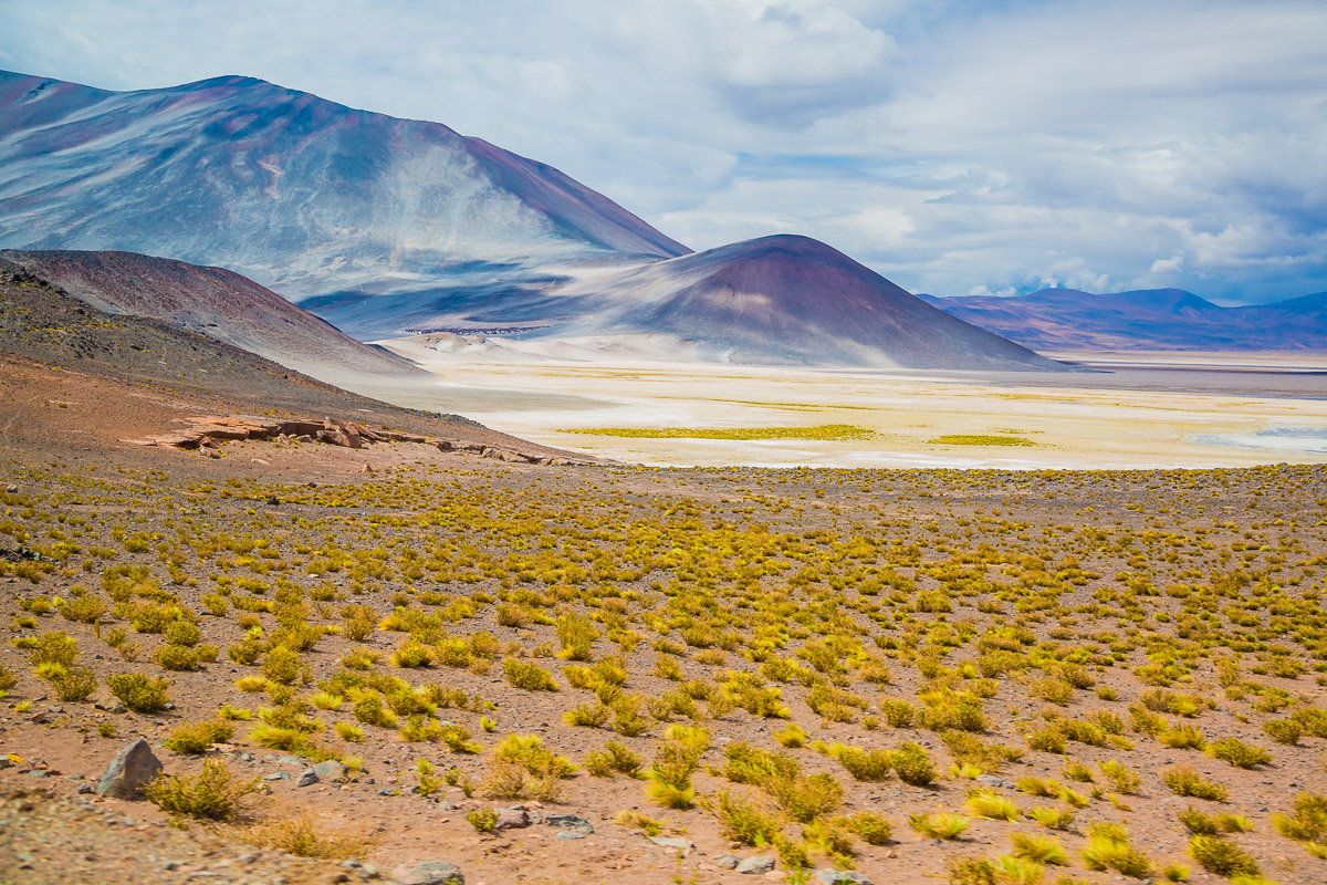 landscape-chile-south-america-atacama-desert-lagunas-altiplanicas-lagoons-mountains-light-photographer-travel.jpg