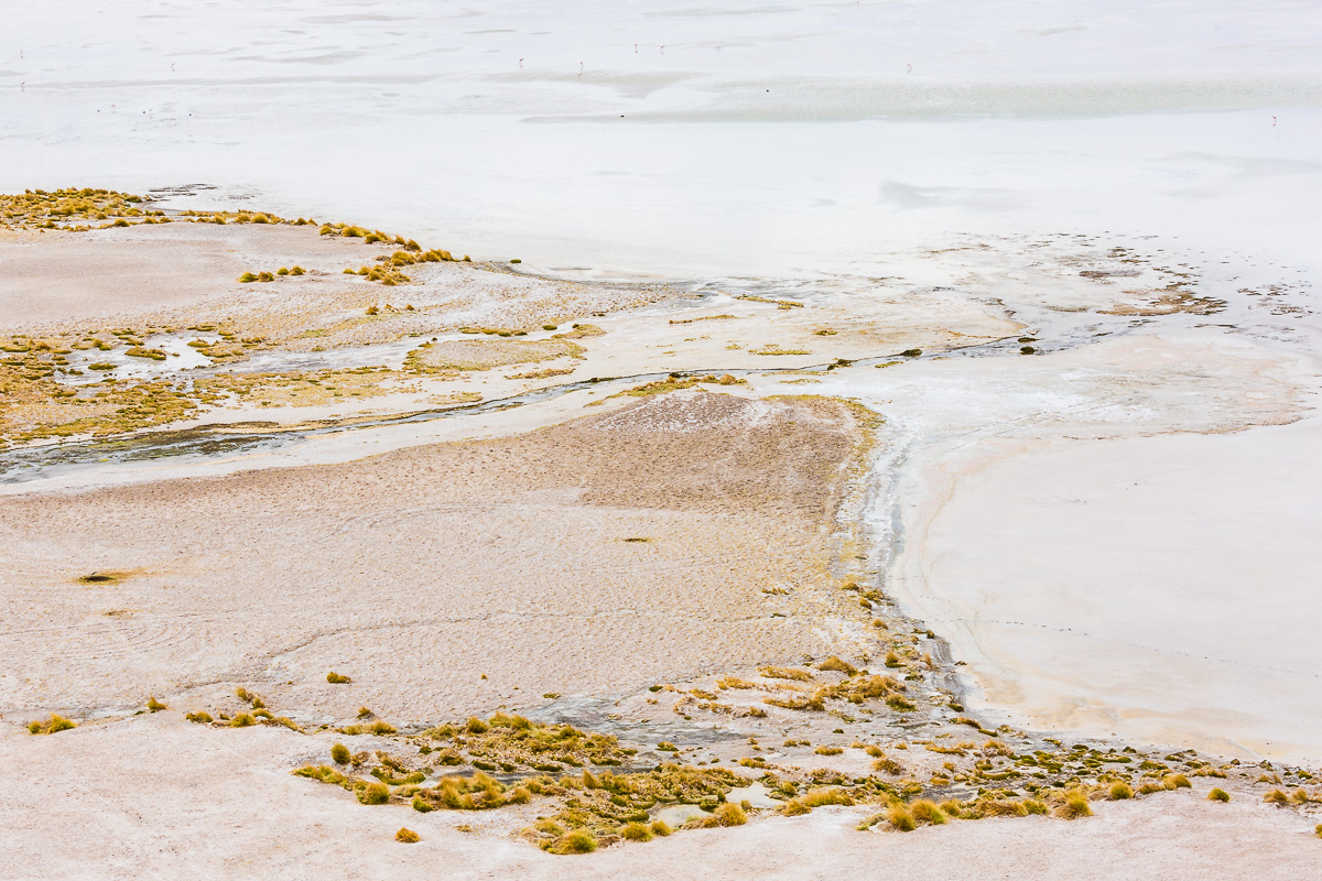 lagunas-altiplanicas-white-landscape-stream-atacama-desert-chile-south-america.jpg