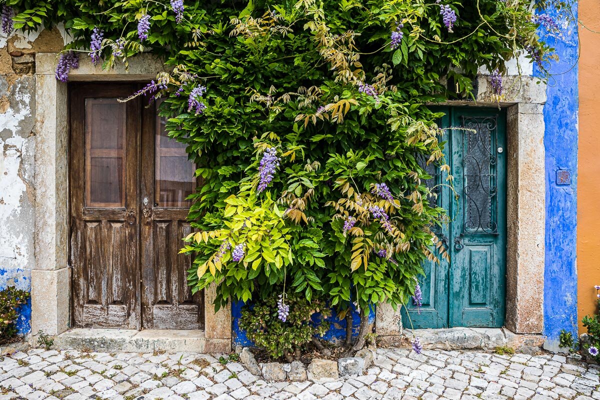 obidos-medieval-town-doors-wisteria-plant-city-town-street-travel-photographer-photography-tour.jpg