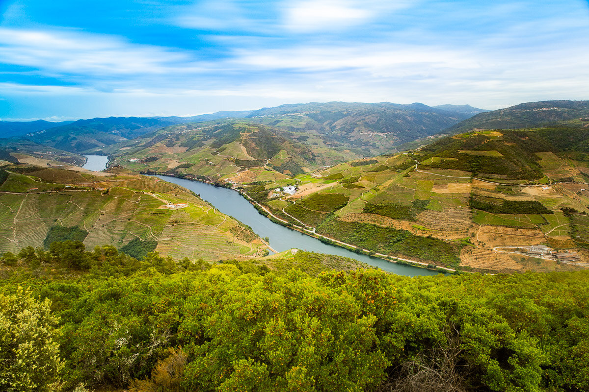 view-landscape-miradouro-vale-do-douro-valley-portugal-wine-region-estate-countryside.jpg