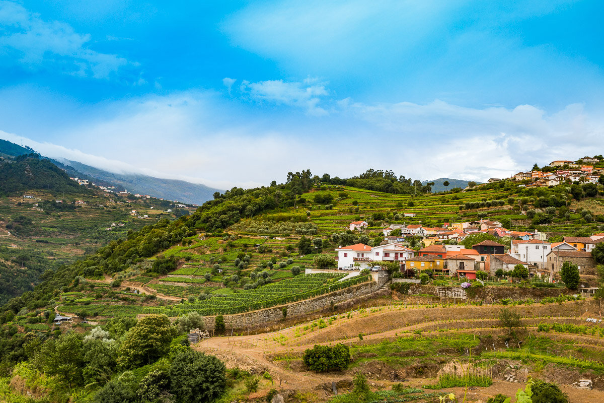 wine-region-portugal-vale-do-douro-valley-travel-roadtrip-rolling-countryside.jpg