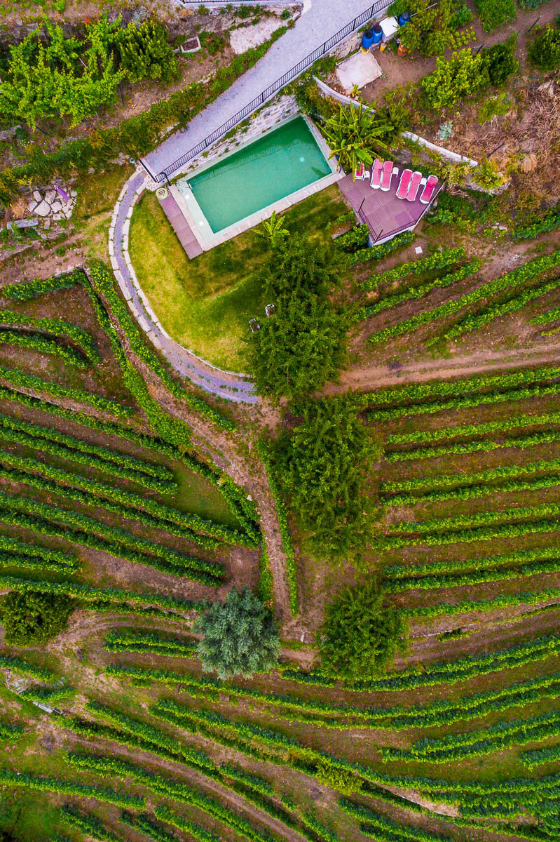 quinta-dos-barqueiros-aerial-view-vines-wine-production-farm-portugal-portuguese-drone.jpg