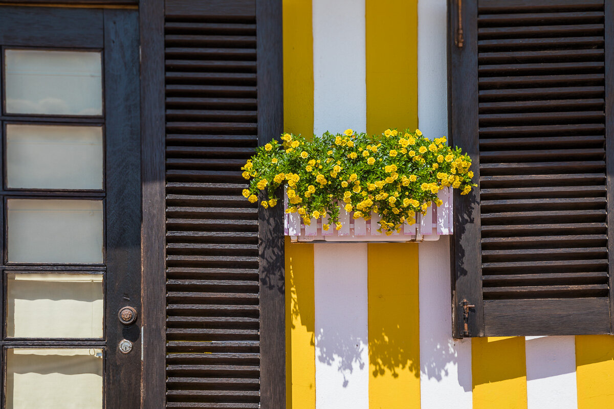 flowers-house-averio-travel-photography-costa-nova-portugal-beach-houses-striped.jpg