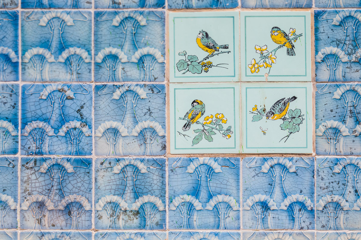 aveiro-streets-details-tiles-bird-waterfront-walk-city-travel-photography-portugal.jpg