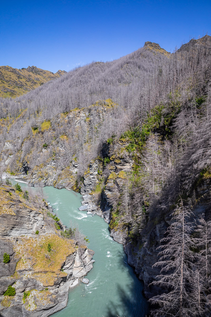 aerial-view-skippers-canyon-river-trees-queenstown-south-island-new-zealand.jpg