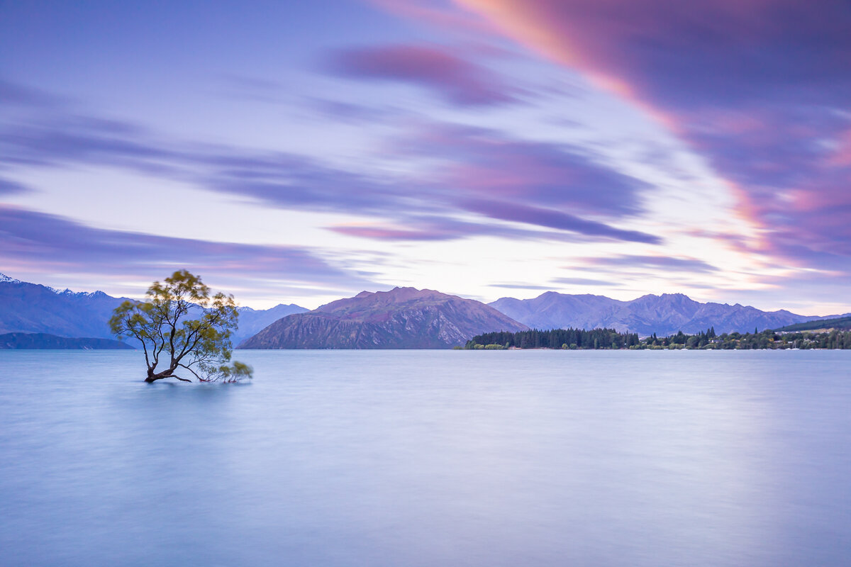 wanaka-tree-new-zealand-landscapes-famous-tree-queenstown-roadtrip-south-island.jpg