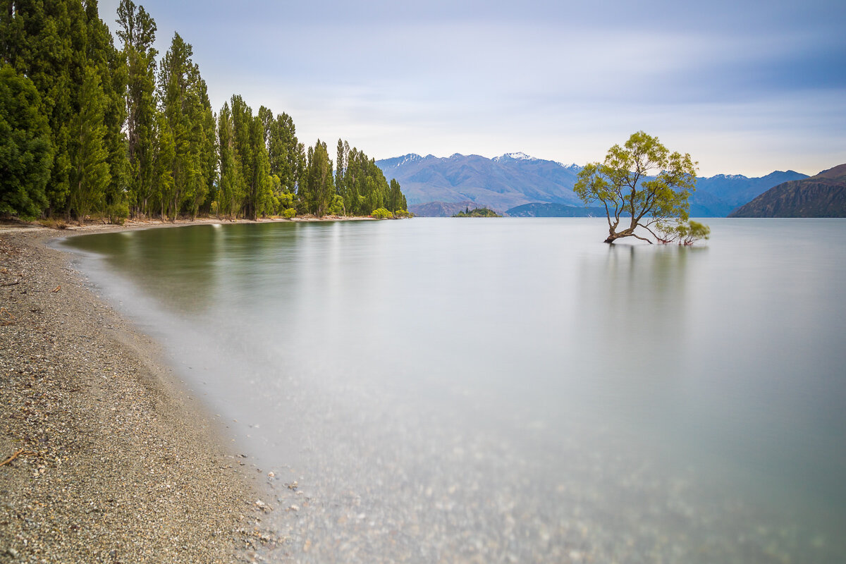 beach-south-island-new-zealand-gravel-wanaka-tree-NZ-roadtrip-landscapes.jpg