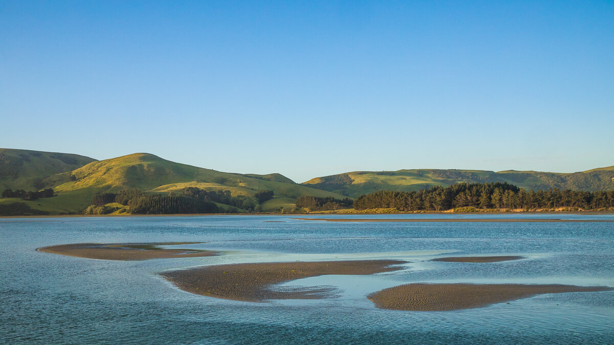 ocean-farmland-new-zealand-sunset-south-island-dunedin-rural-NZ-landscape.jpg