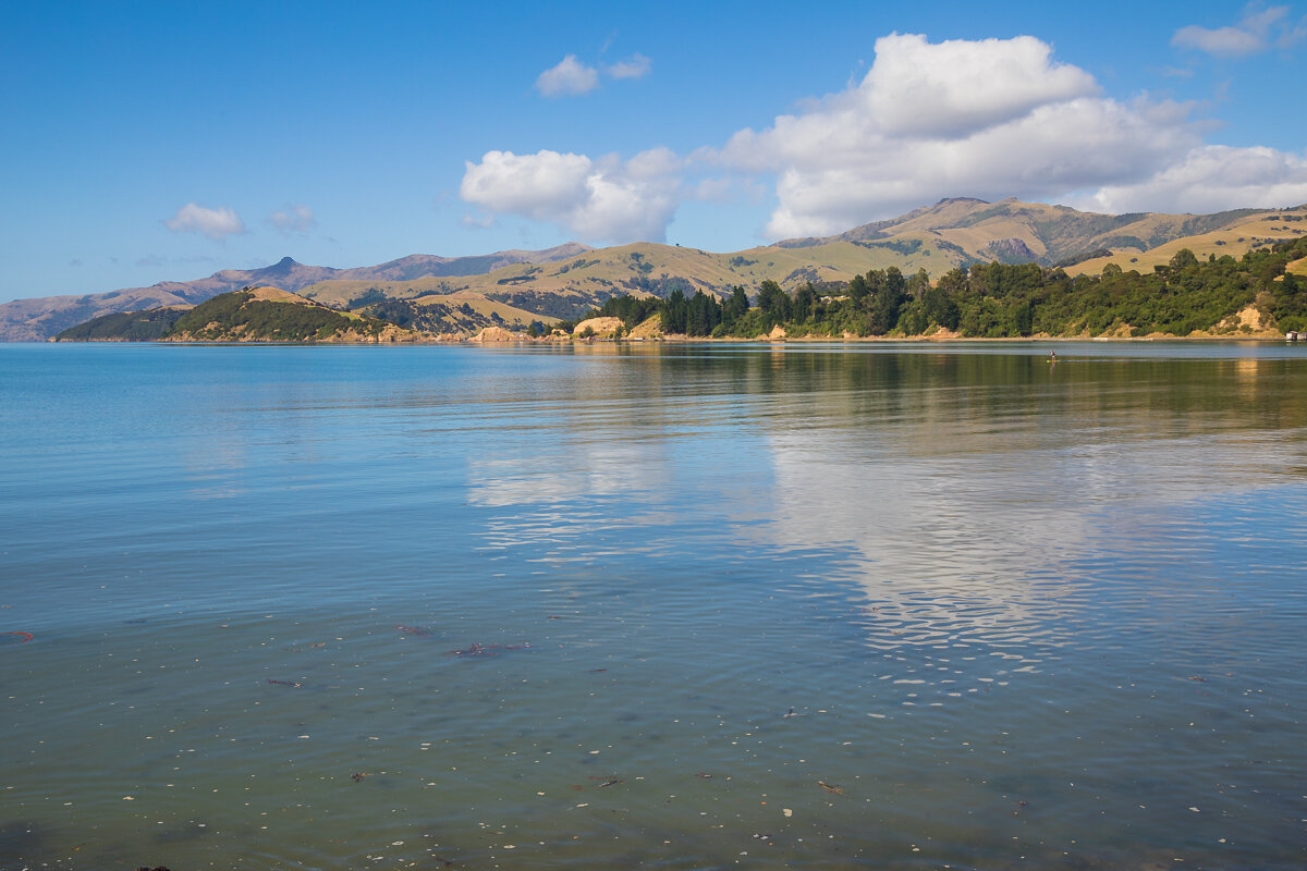 akaroa-harbour-ocean-christchurch-canterbury-new-zealand-south-island-landscape.jpg