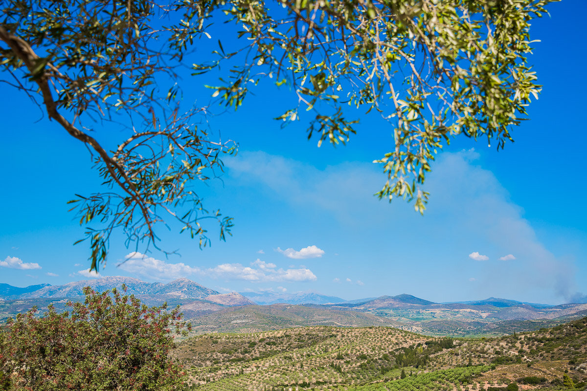 landscape-greece-mycenae-view-olive-groves-trees-travel-greek-countryside.jpg