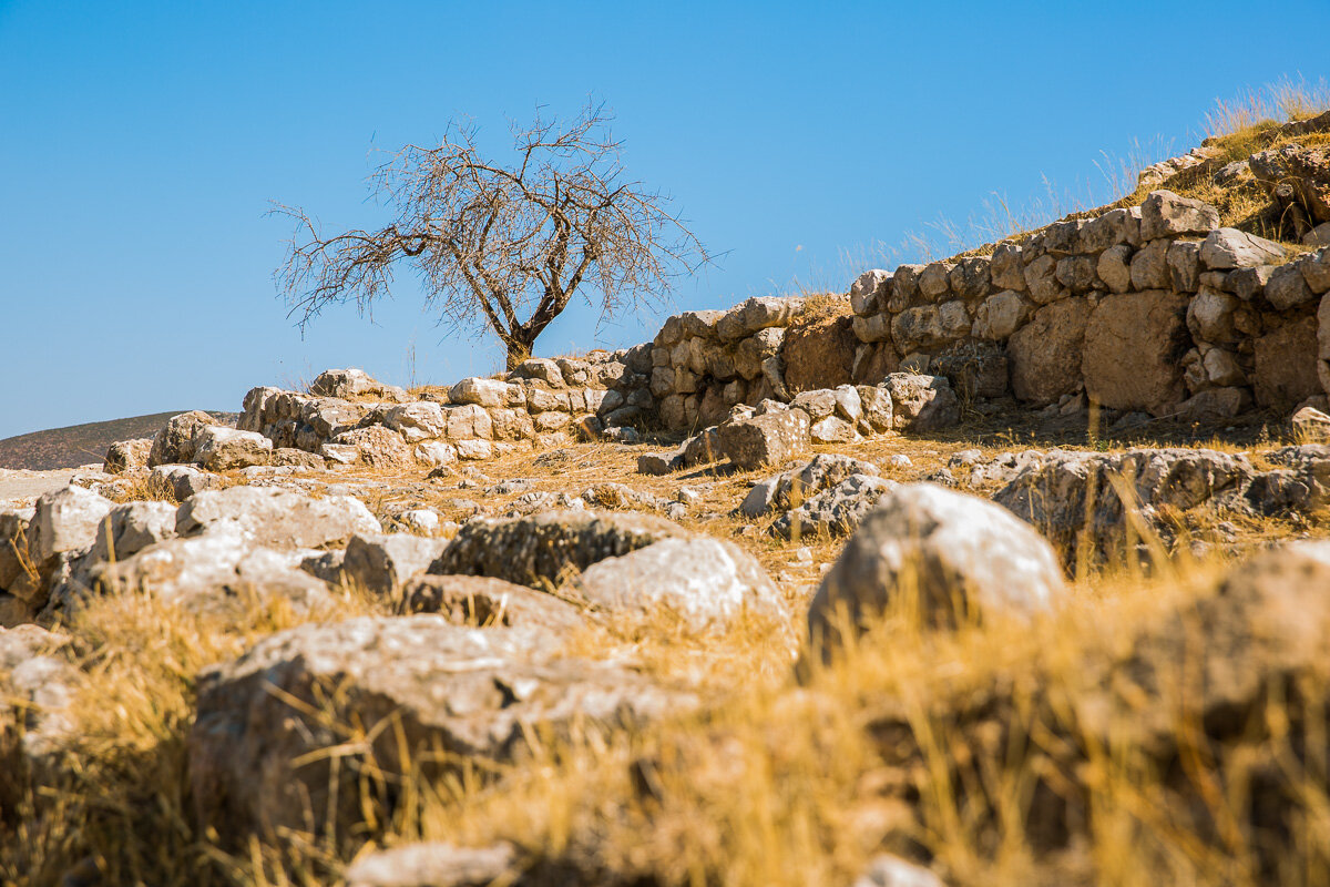 mycenae-greek-countryside-summer-ruins-greece-archeological-site.jpg