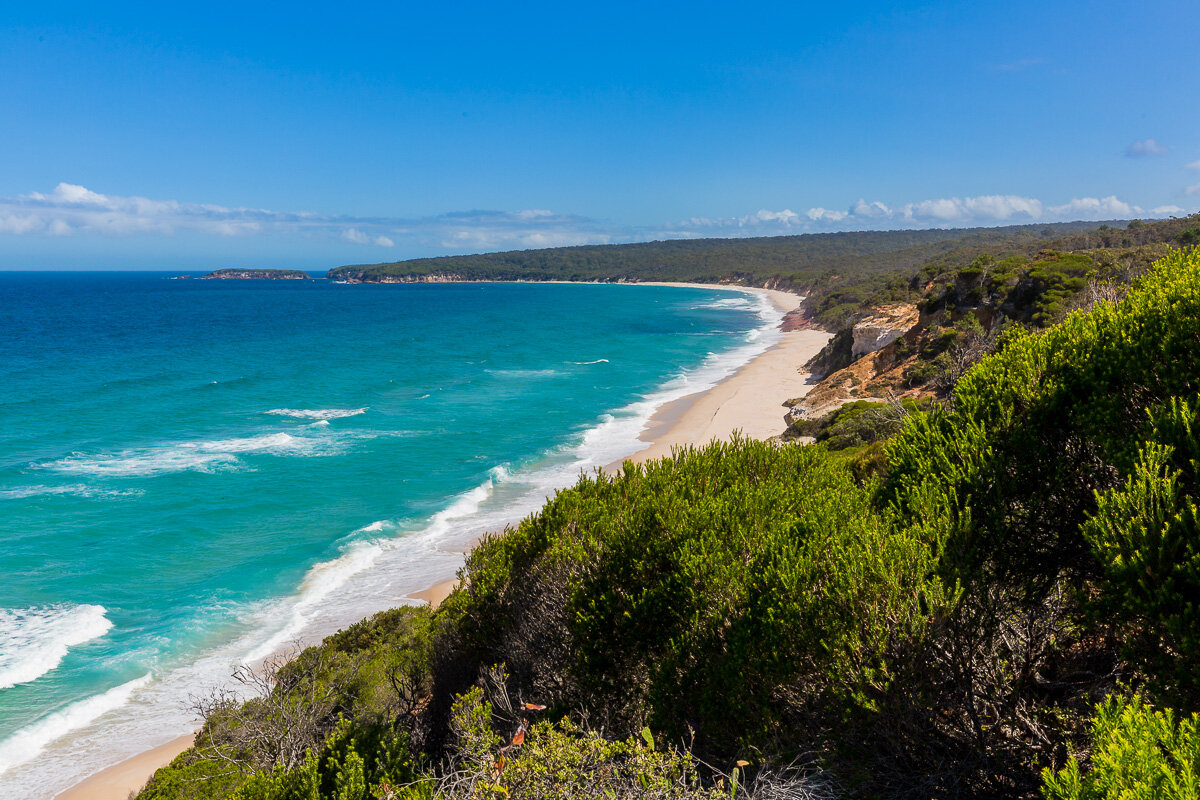 landscape-new-south-wales-forest-beach-walk-NSW-sydney.jpg