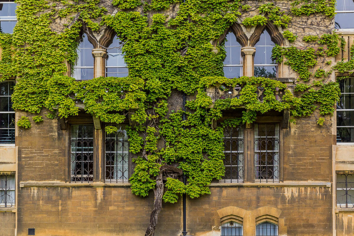 christchurch-college-meadows-university-of-oxford-UK-england-dorm-windows.jpg