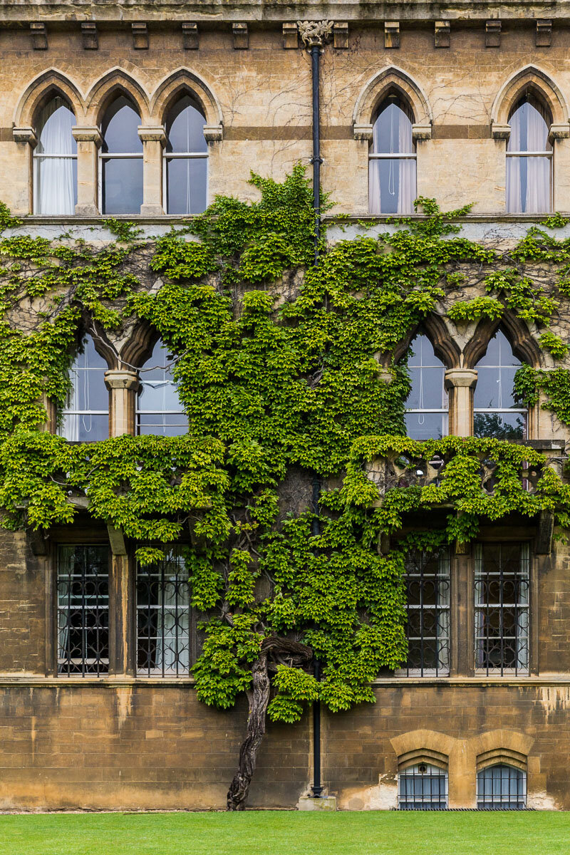 windows-christchurch-college-university-oxford-UK-england-travel-tourism-trip.jpg