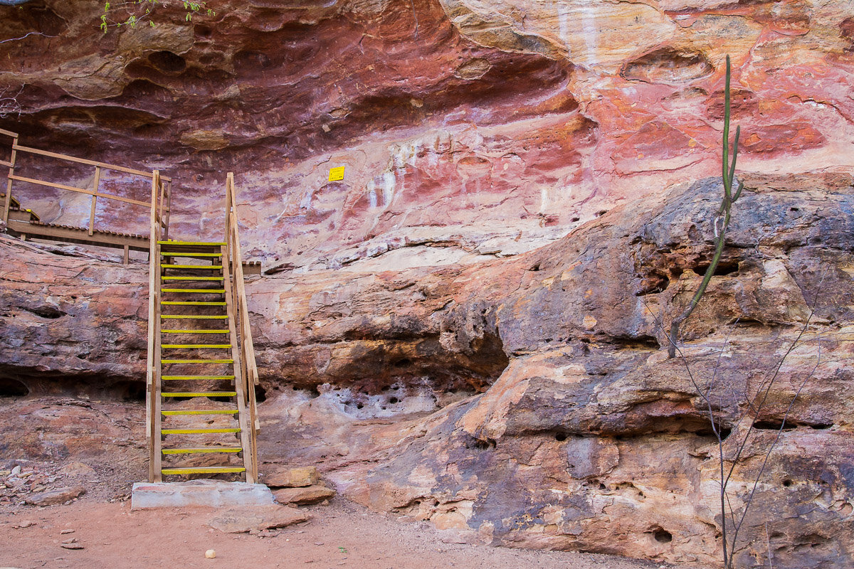 cave-paintings-tour-walkway-path-serra-da-capivara-viewing-platform-brasil-brazil-south-america.jpg