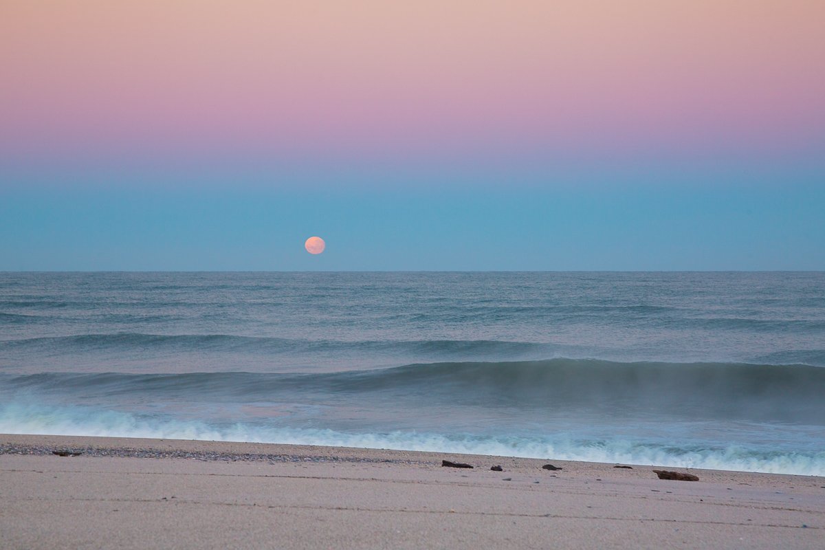 tauparikākā-marine-reserve-beach-sunrise-ocean-coastline-moon-rise-dawn.jpg