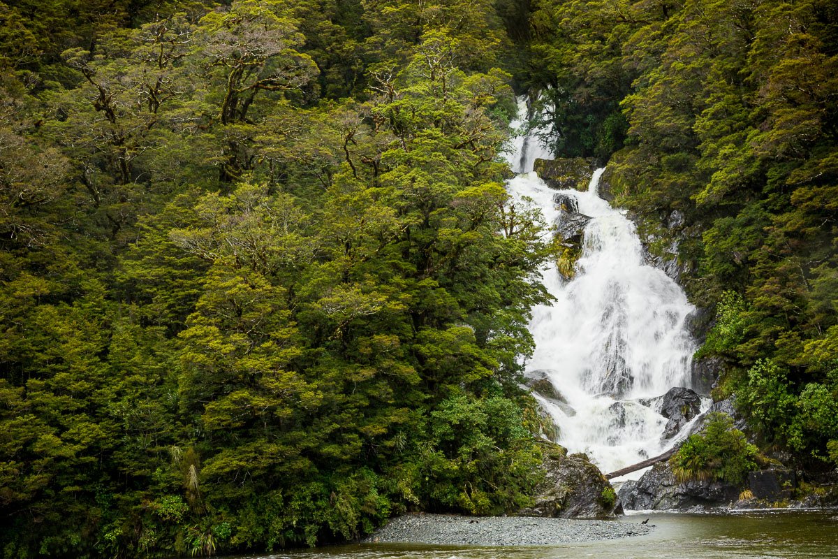 waterfall-fantail-falls-haast-west-coast-new-zealand-amalia-bastos-photography-travel-NZ.jpg