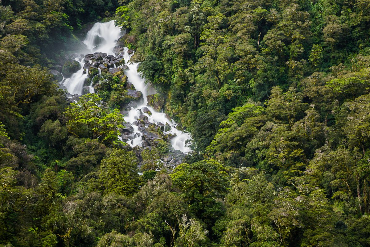 waterfall-roaring-billy-falls-forest-west-coast-new-zealand-NZ-roadtrip-travel-trip.jpg