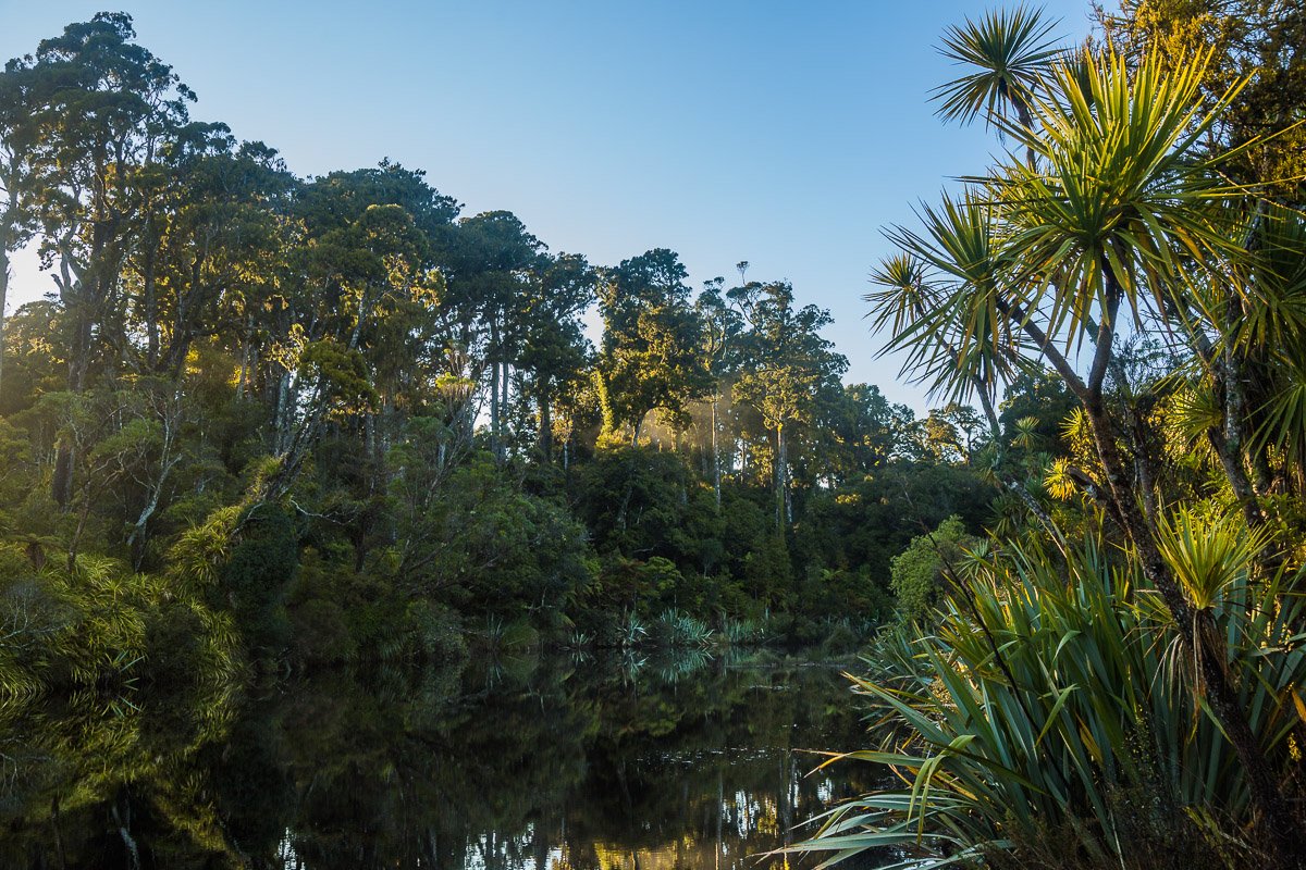 tauparikākā-marine-reserve-haast-early-morning-west-coast-travel-forest-reflections-lake.jpg