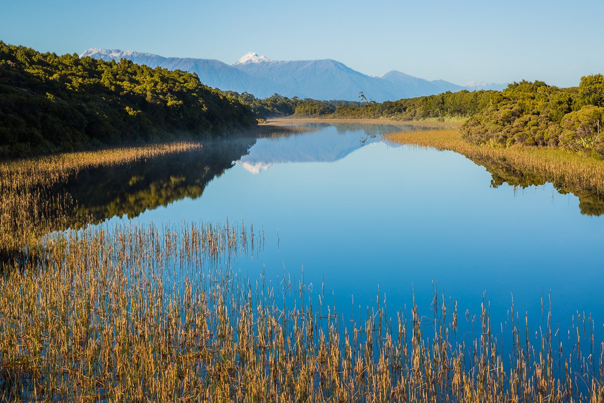 view-tauparikākā-marine-reserve-boardwalk-lake-reflection-walk-swamp-wetlands-golden-morning-light.jpg