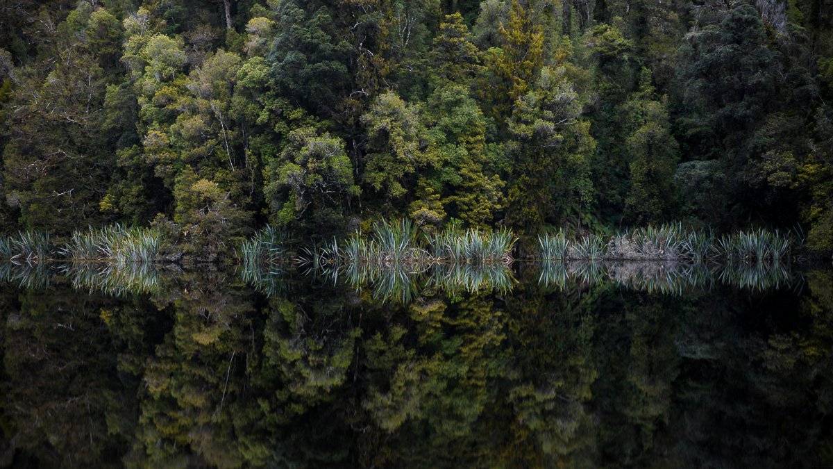 lake-matheson-amalia-bastos-photography-new-zealand-dark-waters-reflective-west-coast.jpg