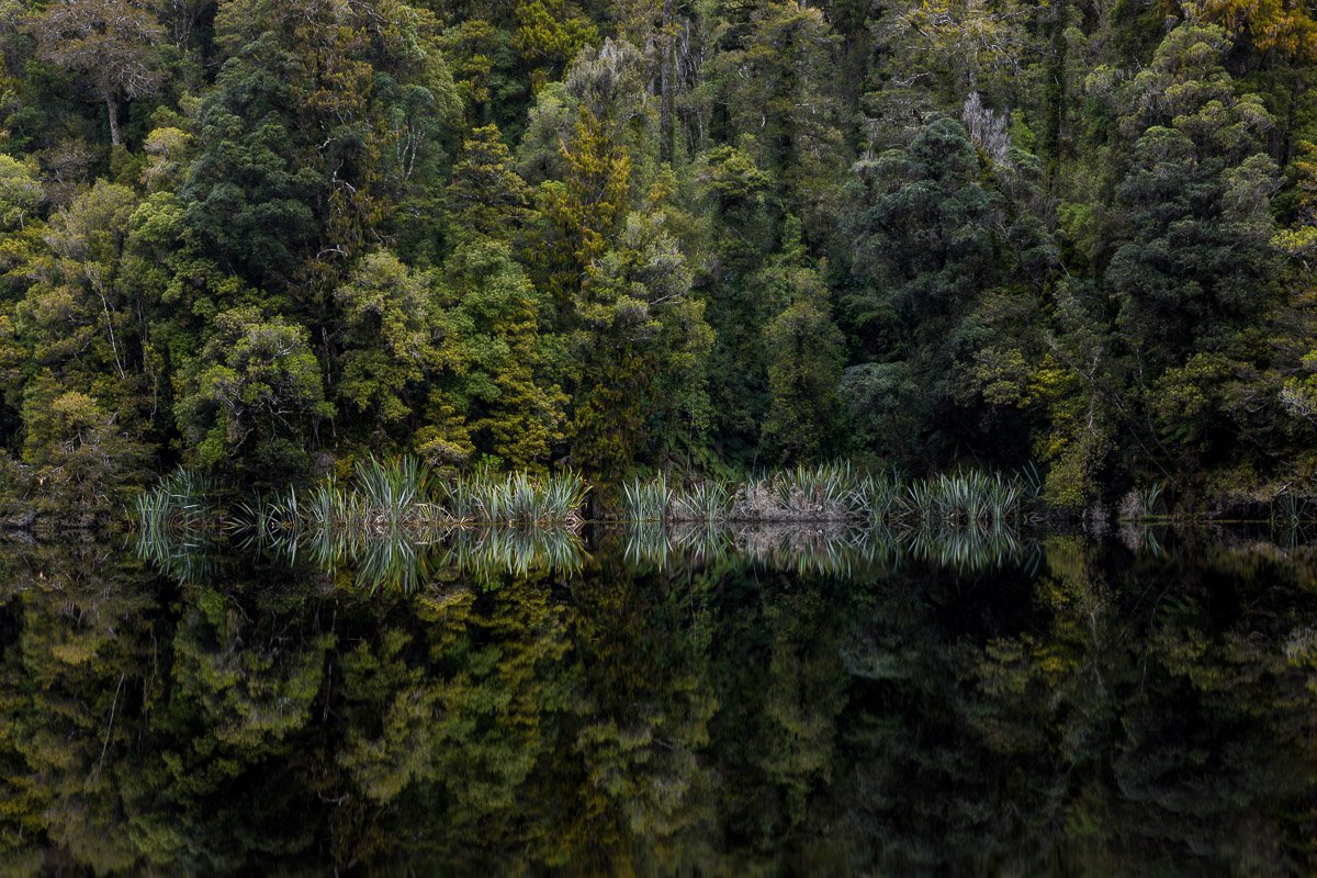 lake-matheson-reflections-franz-josef-new-zealand-south-island-west-coast-roadtrip-travel.jpg