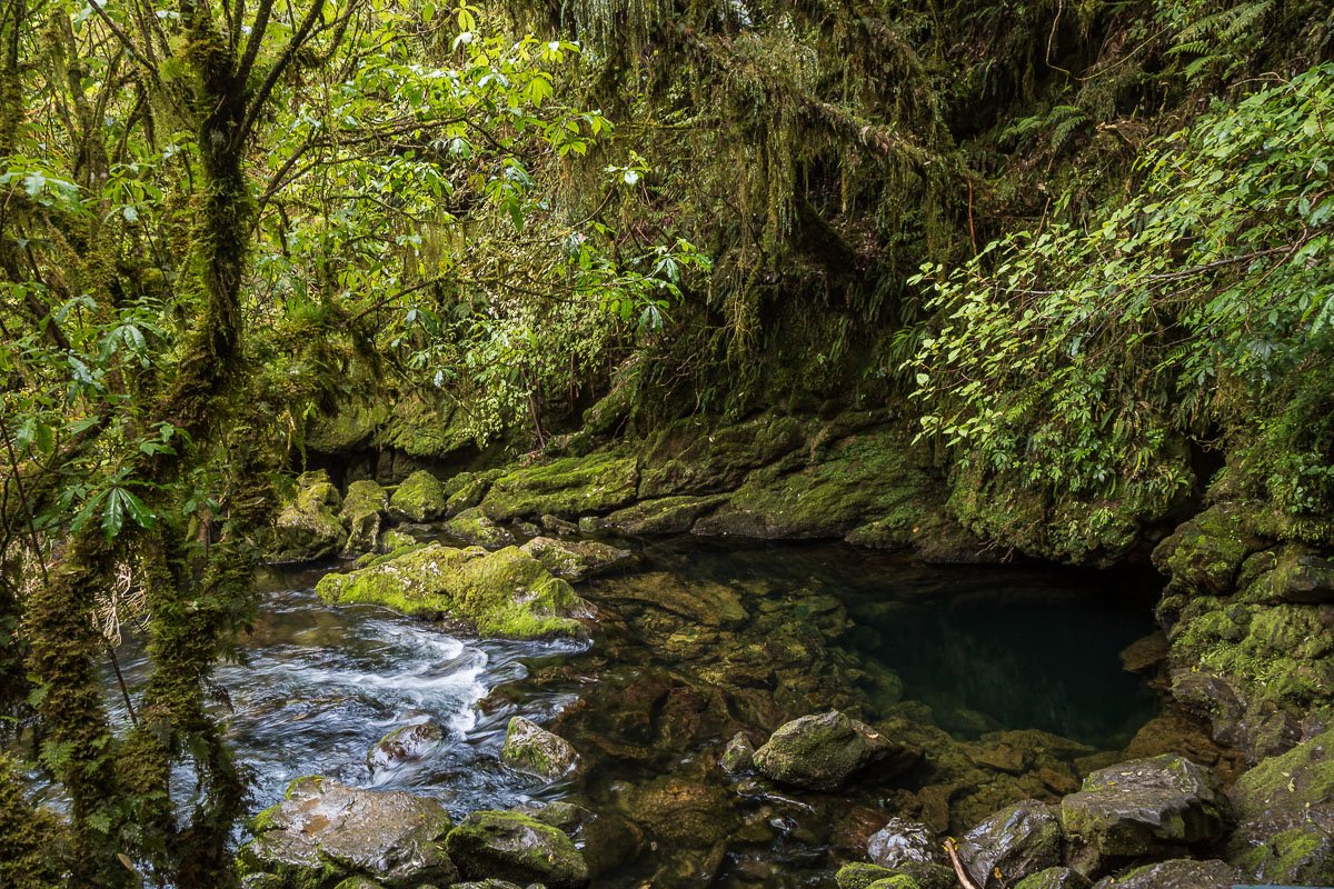 riuwaka-resurgence-spring-river-takaka-hill-south-island-new-zealand-west-coast.jpg