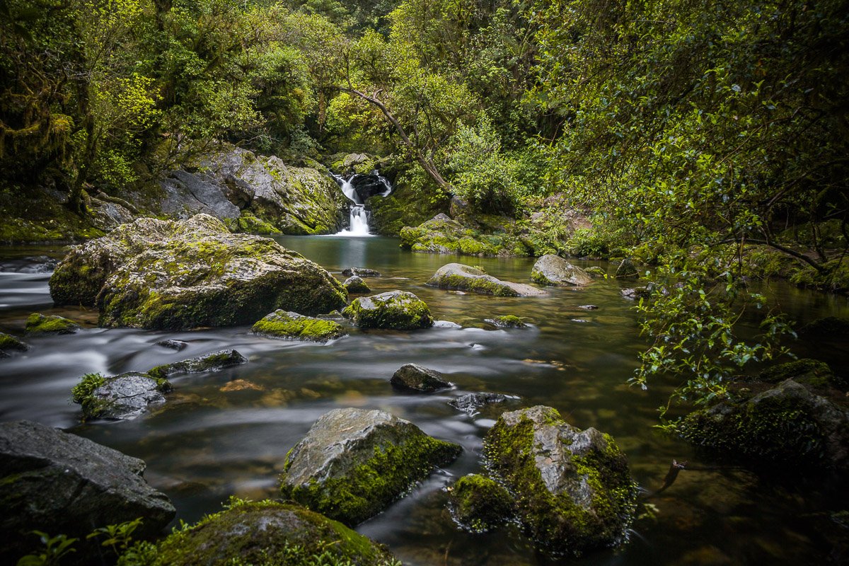 riuwaka-resurgence-waterfall-river-takaka-hill-nelson-abel-tasman-walk-forest.jpg