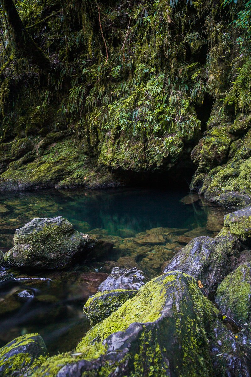 riuwaka-resurgence-water-spring-river-west-coast-south-island-takaka-hill-nelson-abel-tasman.jpg