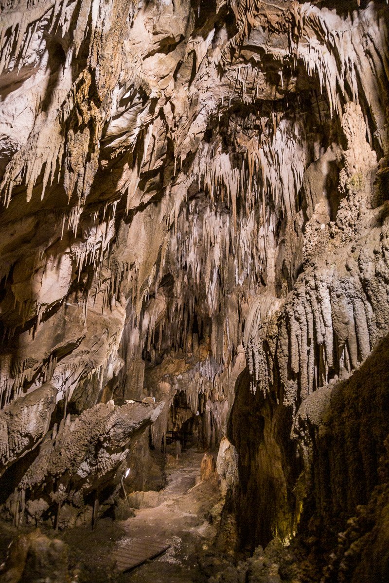 ngarua-cave-tasman-abel-nelson-national-park-corridor-south-island-new-zealand-west-coast-motueka.jpg