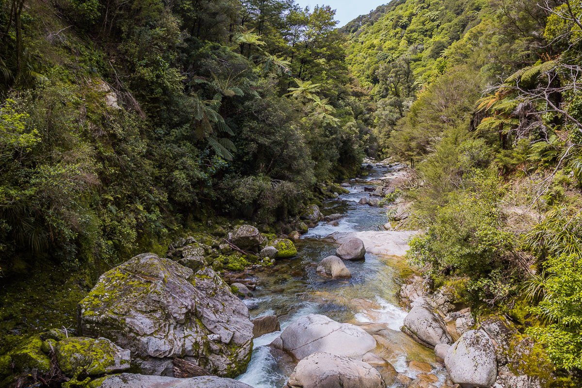 wainui-falls-track-waterfall-nelson-abel-tasman-park-river-south-island-new-zealand.jpg