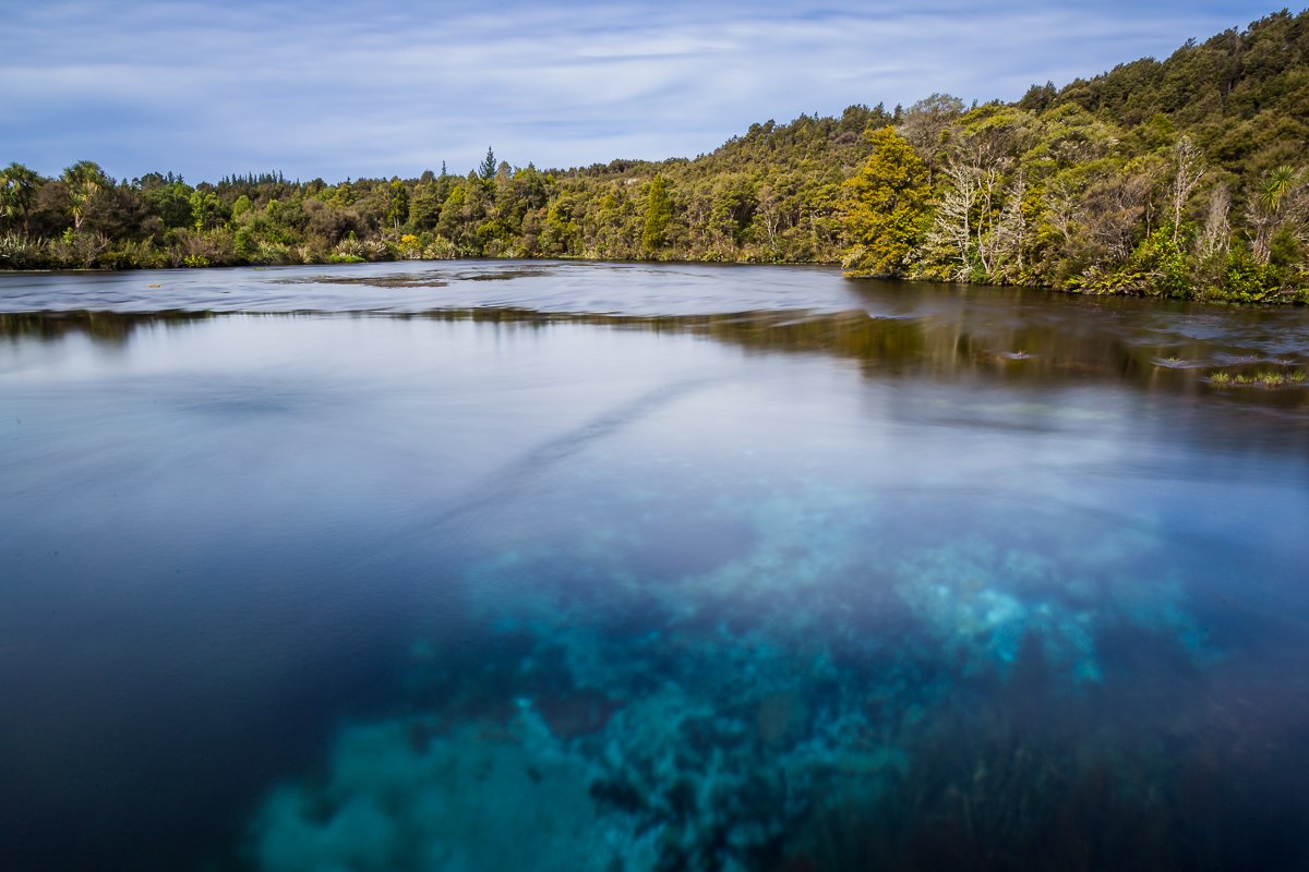 te-waikoropupu-springs-nelson-abel-tasman-national-park-new-zealand-south-island-NZ.jpg