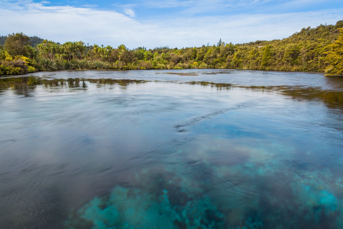 te-waikoropupu-springs-nelson-abel-tasman-national-park-south-island-NZ-spring-blue-lake.jpg
